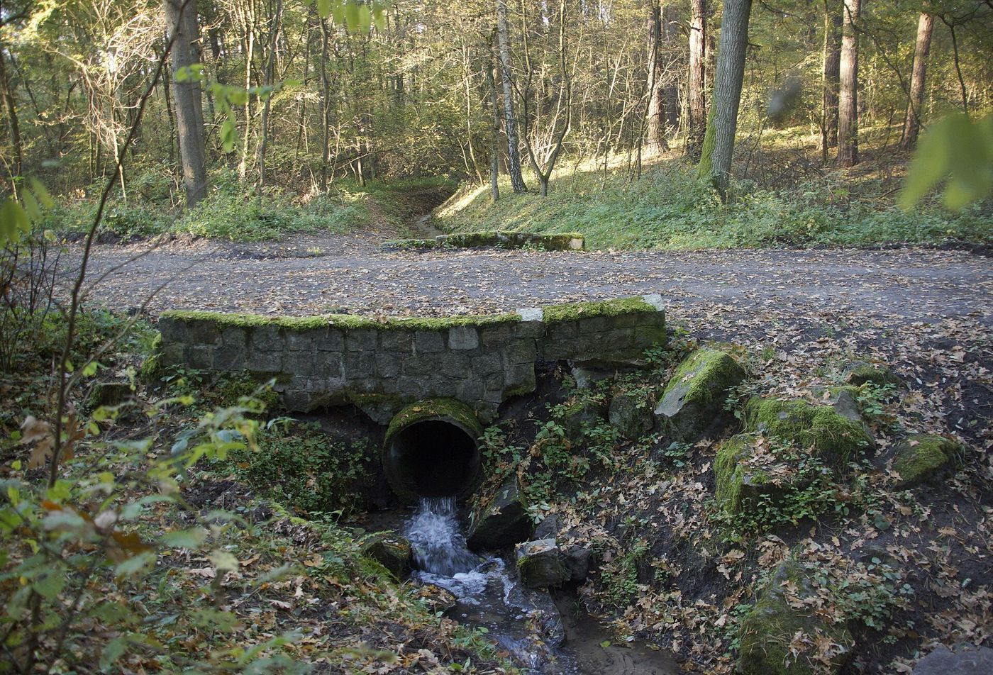 Leśna droga na Wzgórzach Piastowskich